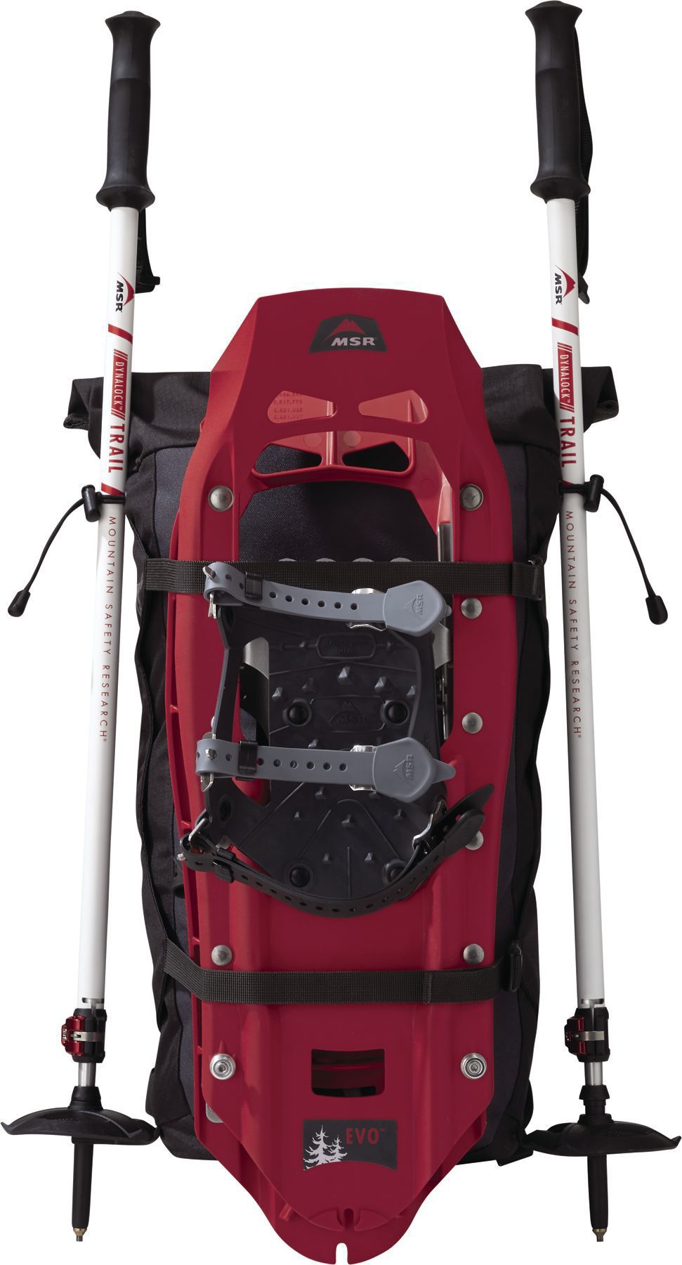 Shiptons MSR Evo Snow Shoes/Poles kit pic